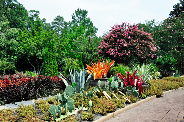 colorful arrangement and cacti