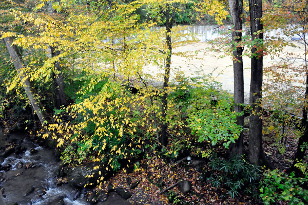 Looking out past the stream from the balcony