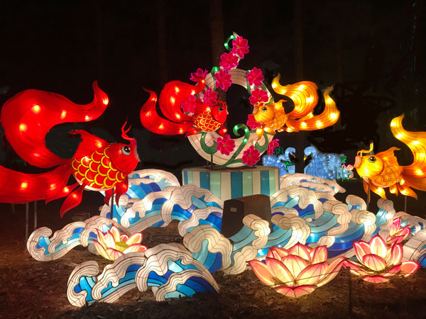 Marine Life display 