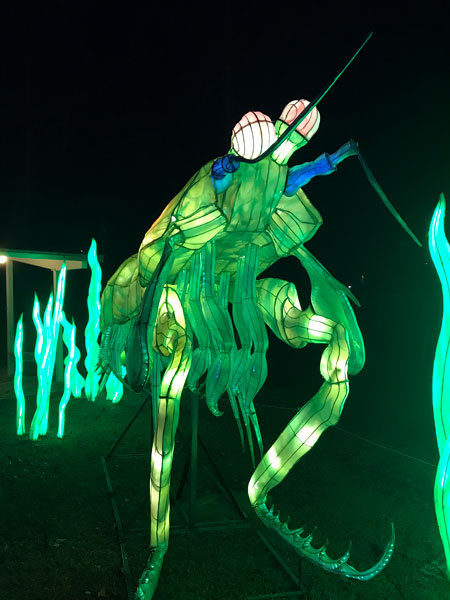 Neon Shrim