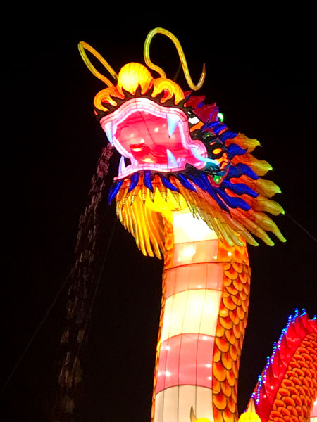 Chinese Dragon
