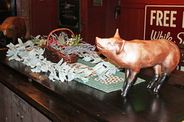 pig