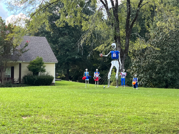 football display in someone's front yar