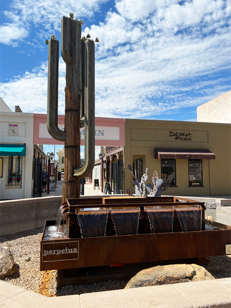 metal cacti and fountain