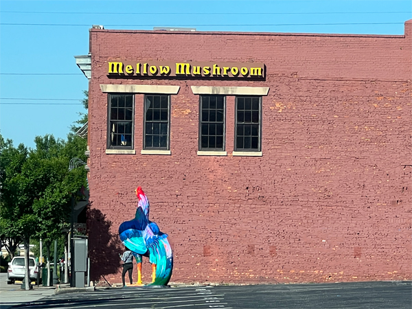 Mellow Mushroom Restaurant and rooster