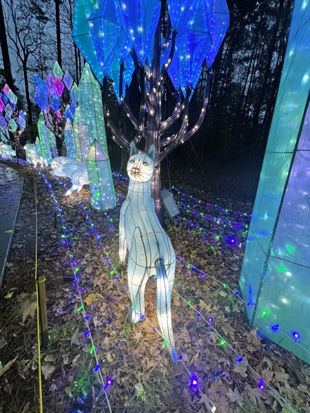 Crystal Forest display