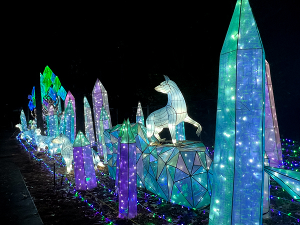 Crystal Forest display