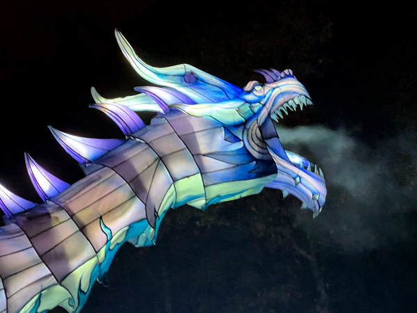 Ice Dragon