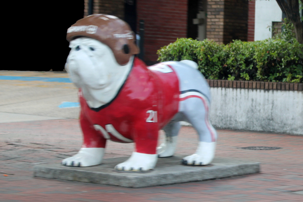bulldog statue