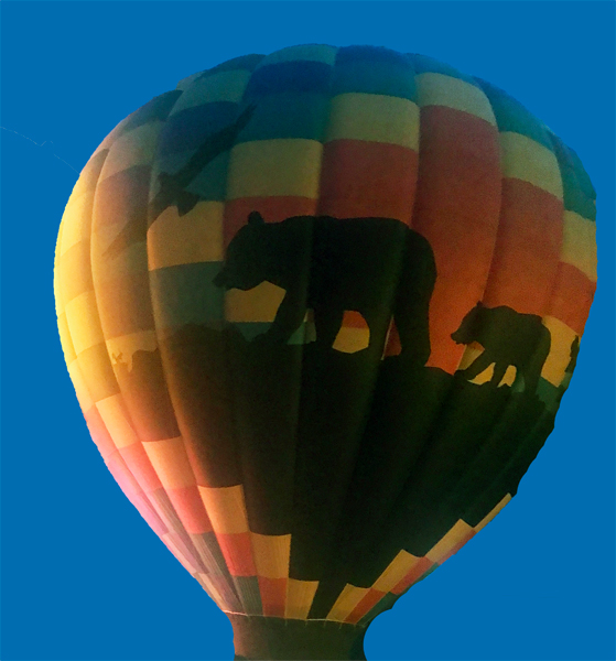 Statesville Hot Air Balloon Festiva