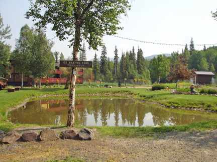 ice skating pond