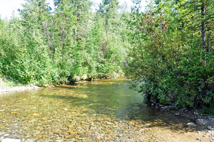 river behind the two RV Gypsies' RV