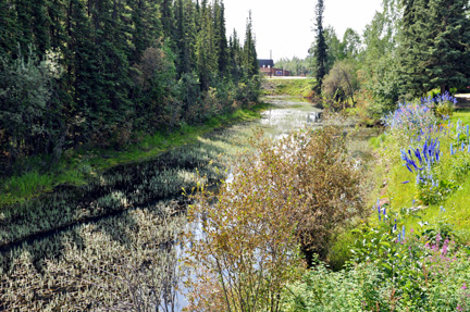 beautiful scenery at the North Pole