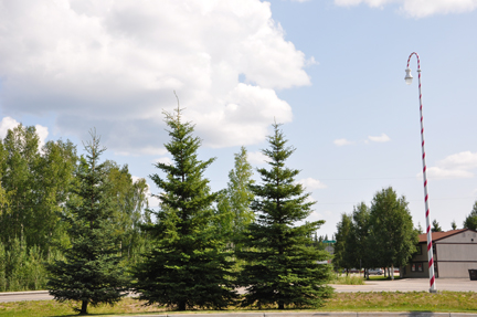 candy cane light pole