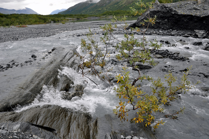 on Worthington Glacier in Alaska