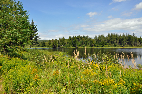 view from the two RV Gupsies' RV