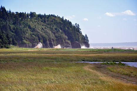 waves start covering the marsh