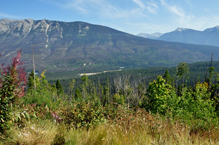 beautiful scenery