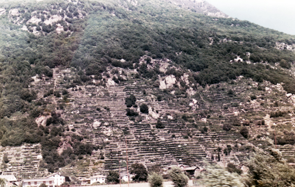 Houses in the hillside