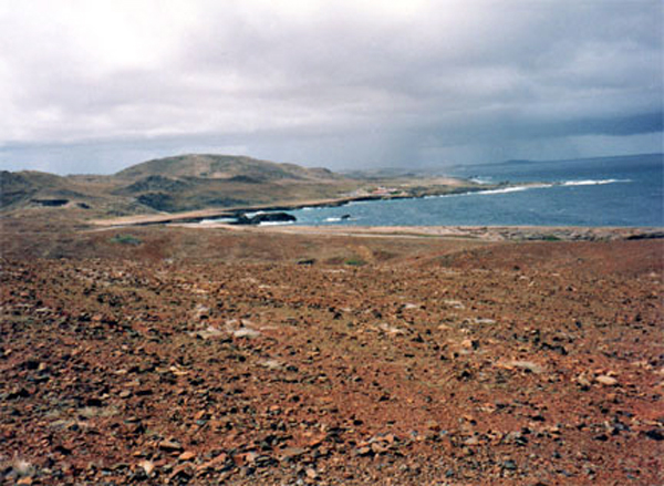 no roads for the jeep