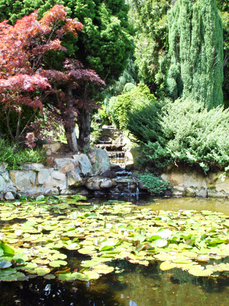 pond in Australia