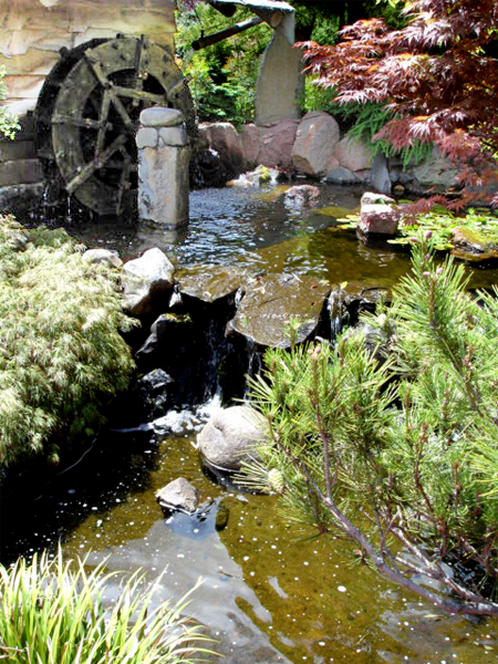 pond in Australia