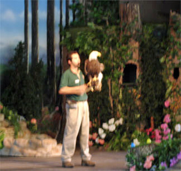 Eagle show