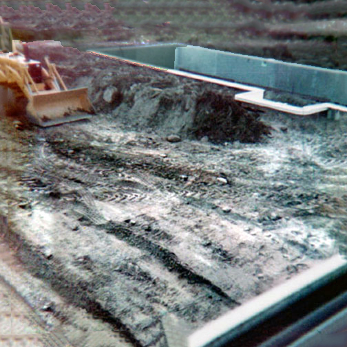 the swimming pool
