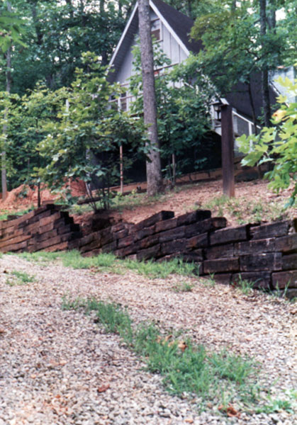 cabin in Morganton, Georgia