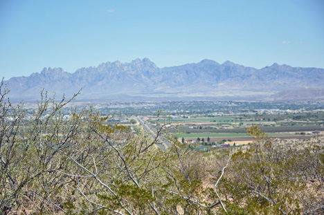 Organ Mountains
