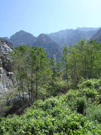 the view from the Cacade Patio
