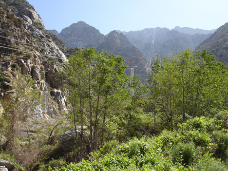 the view from the Cacade Patio