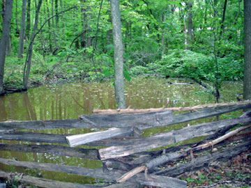worm fencing