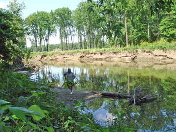 creek in the campground