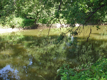 creek in the campground