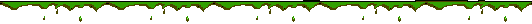green divider bar